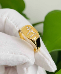 Celebrate Life with Chai Pinky Ring