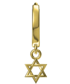 Star of David Earrings