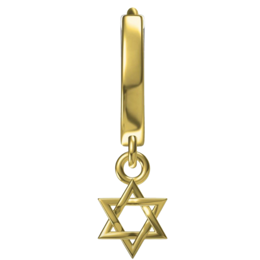 Star of David Earrings